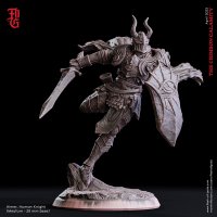 Aimer - Human Knight Figure (Unpainted)